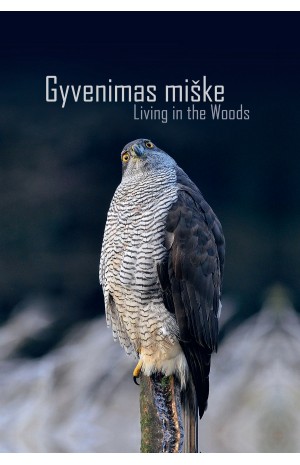 Gyvenimas miške